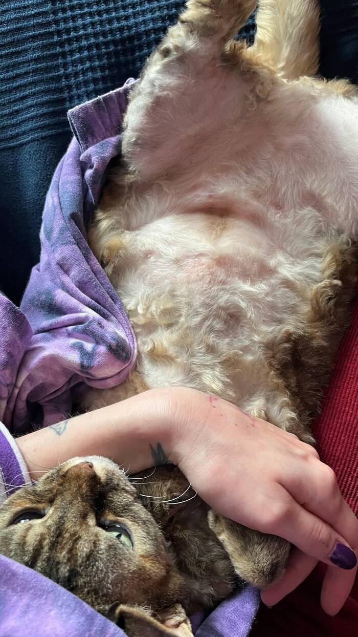 ��� ���� � �����