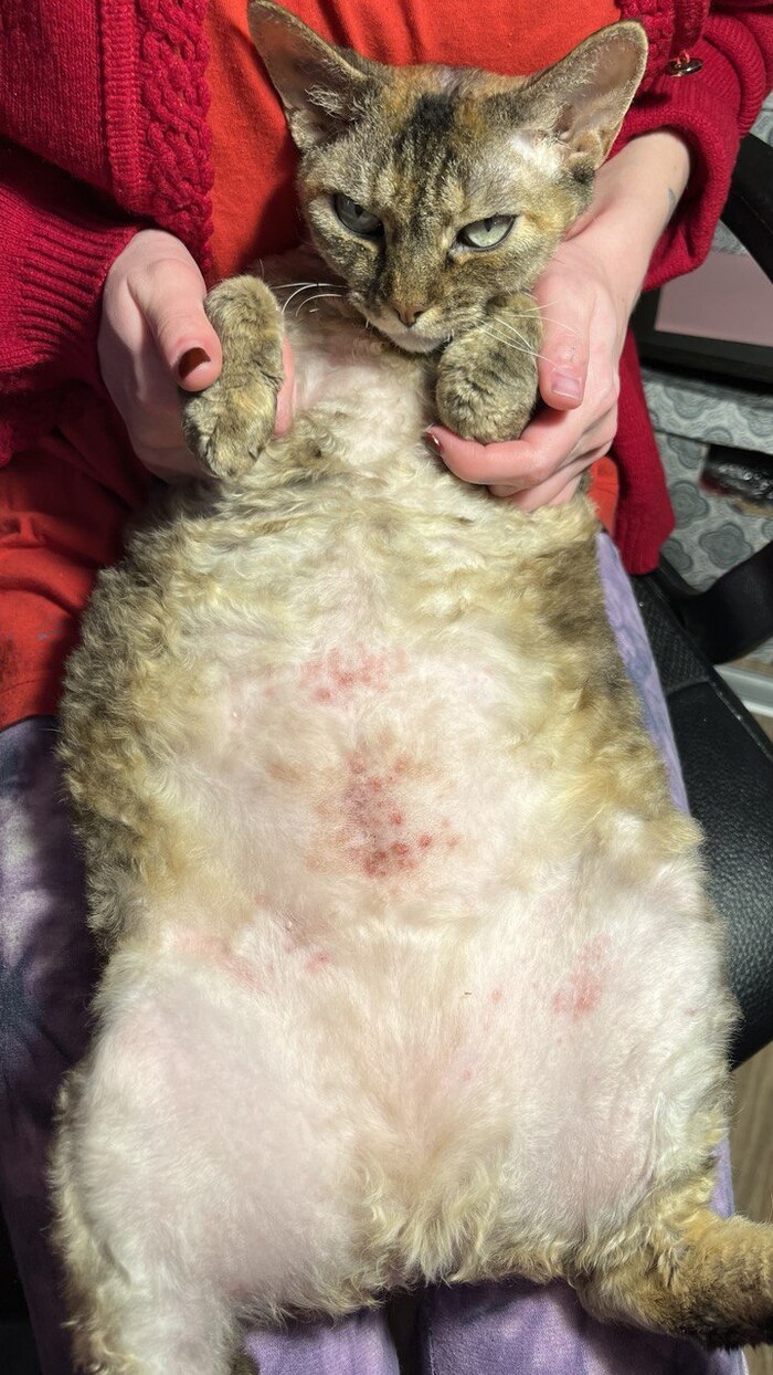 ���������