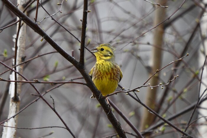 ����� ����������!