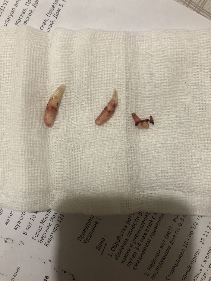 ����� ������ ����� ����������� �������� ���))