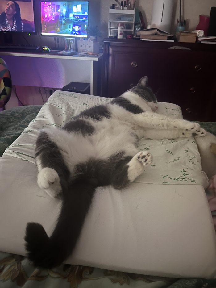 ������������� ������� Leg-Up