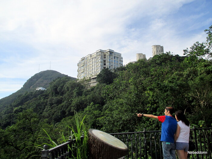 Кто в теремочке живёт?