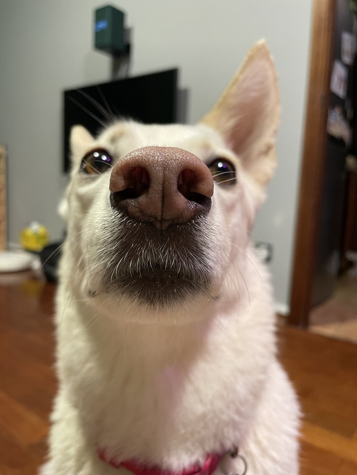 ������ � � ����������� ���