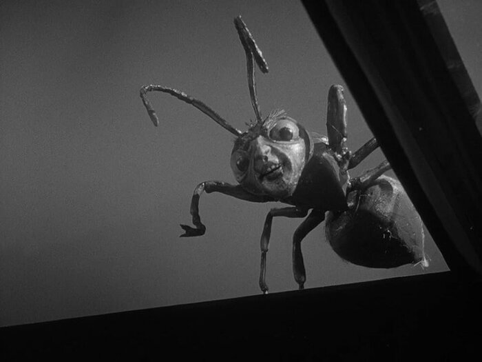 За гранью возможного 1963