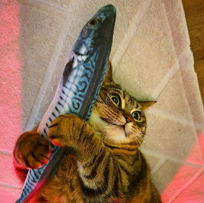 �� �� �����������, �� ���������������