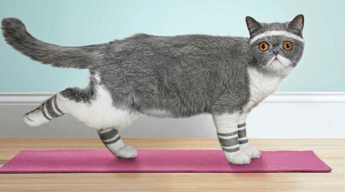 �� �� �����������, �� ���������������