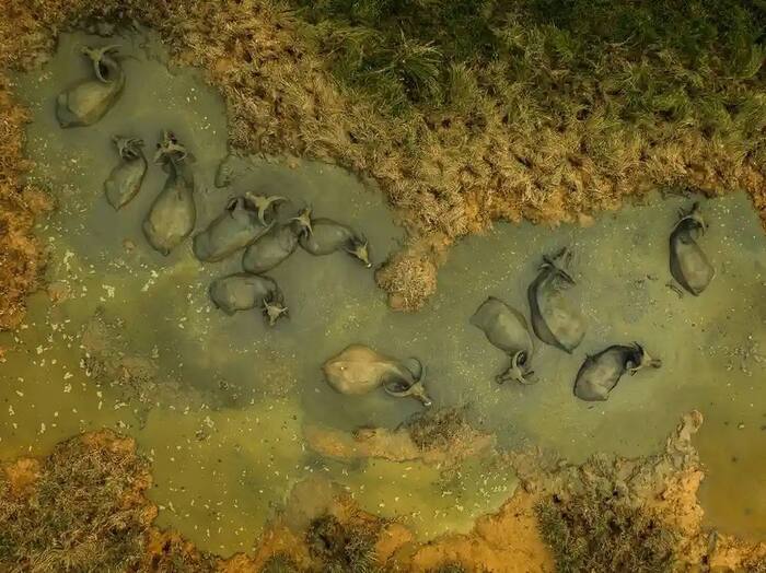 ����� �������� ���������� � ����� � ��������� �������.