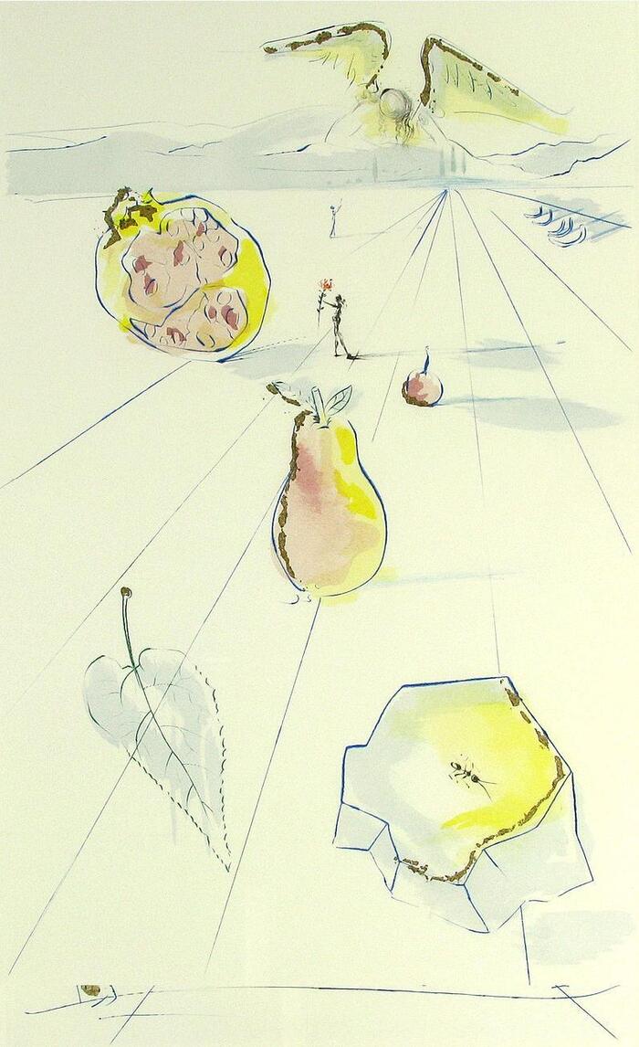 Я спустился в сад