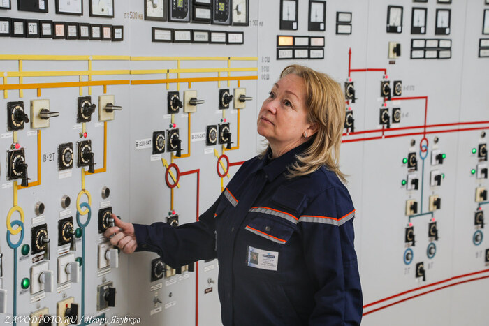 Из серии «Именно они делают Россию великой» / снято мной на Усть-Илимской ГЭС