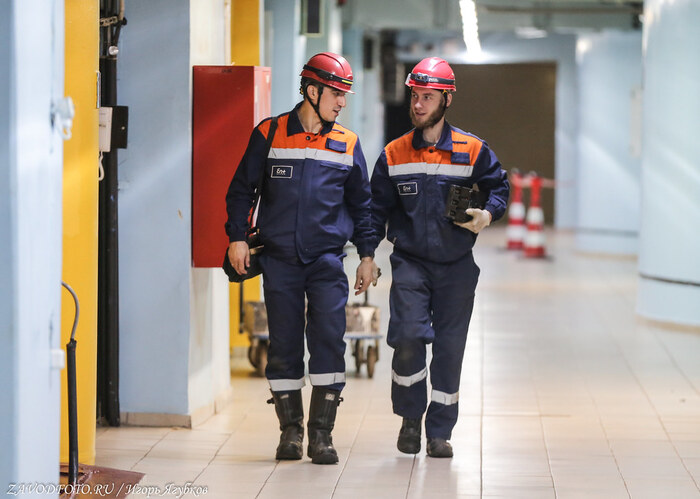 Из серии «Именно они делают Россию великой» / снято мной на Усть-Илимской ГЭС