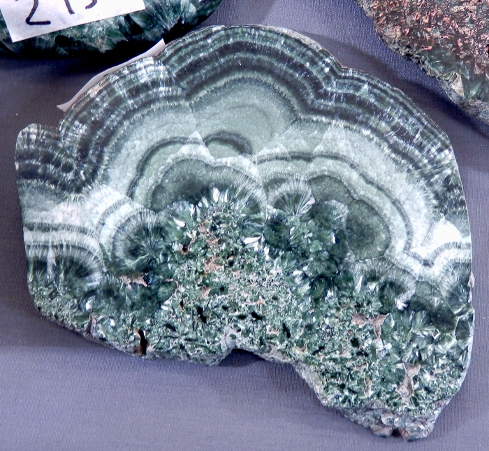 ����������� ����� ����� ����������-����������. ������������ ������������ �������������, ������-�������� �����