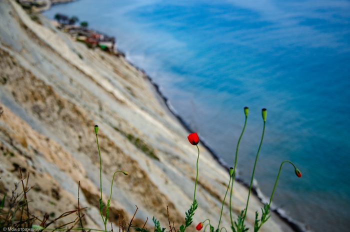 и это тоже мак