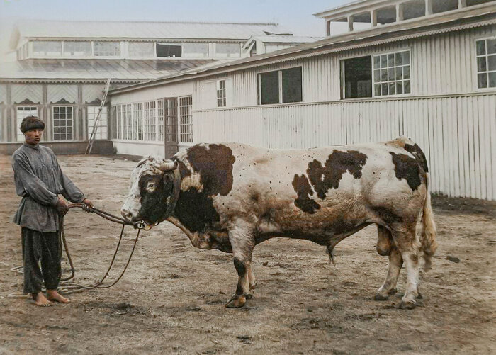 Автор: В. Л. Метенков