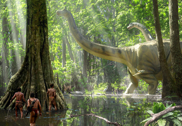 ������-������. �������� ������������ ���������