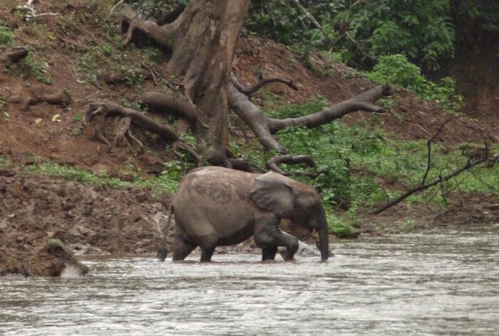 ������ ������, � ���������� � ��� (�������� �������� �� ������ ��������. ���� ��������!