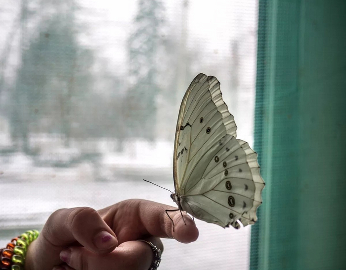 Слушай сюда! Вы у меня дом отобрали, и теперь я буду жить здесь!