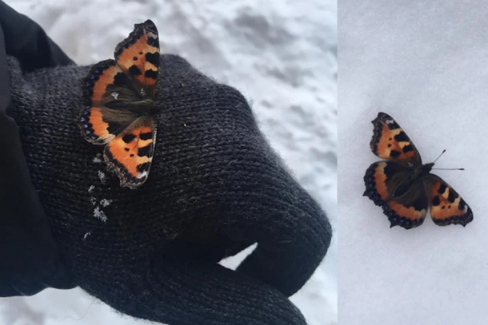 Когда проснулся, было +10. А сейчас уже -5. Это как так вообще?