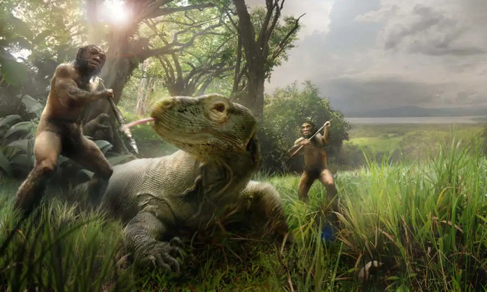 ����� Homo floresiensis, ��������, ���� ����� �������