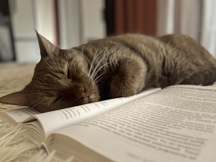 ��� �� ������?