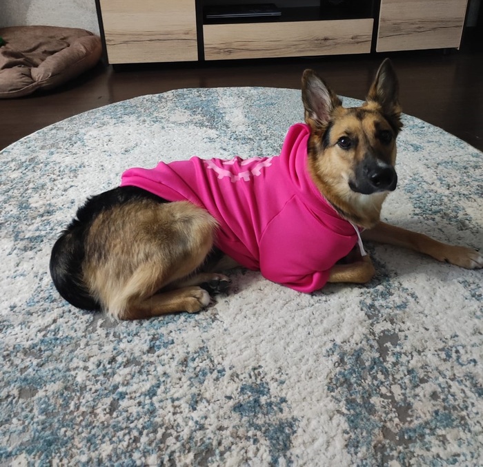 Младший сотрудник доволен обновкой