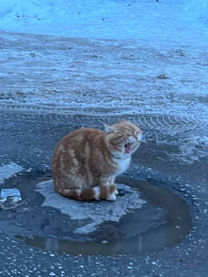 :   ,  ,  