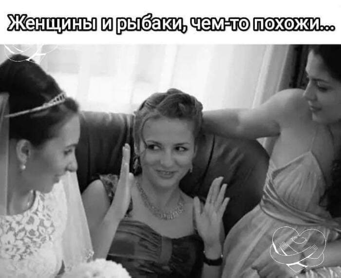 Пикабушники такие же)