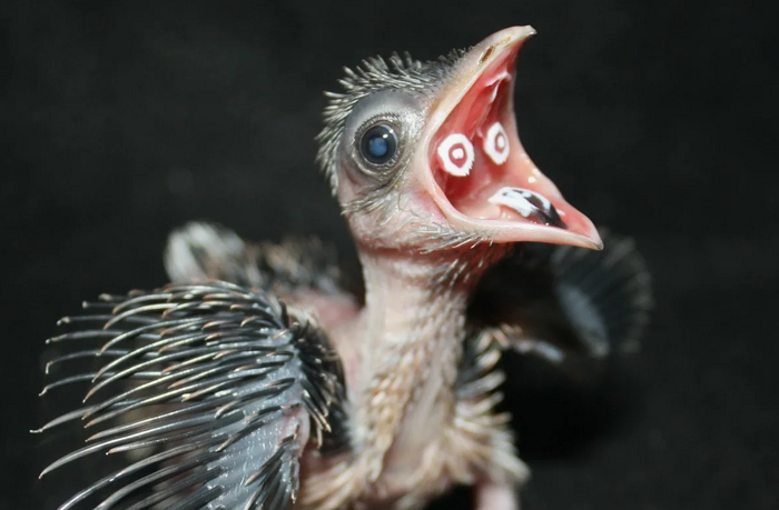 Помогите, мной управляет какой-то призрак!