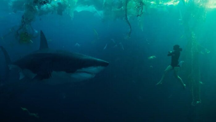 ���� ������ "��� �������"