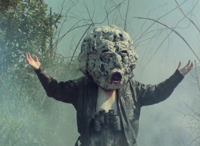  964 (964 Pinocchio). Ѹ , 1991