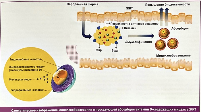 Механизм действия 3 поколения препаратов