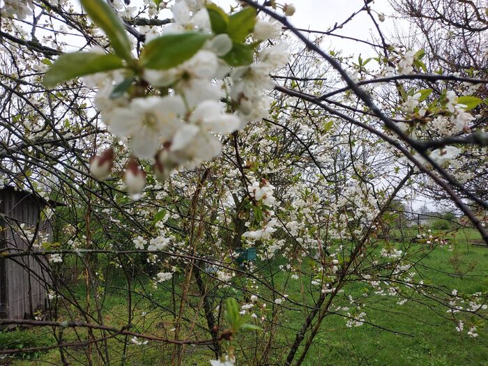 �����, � �� ��� ����.