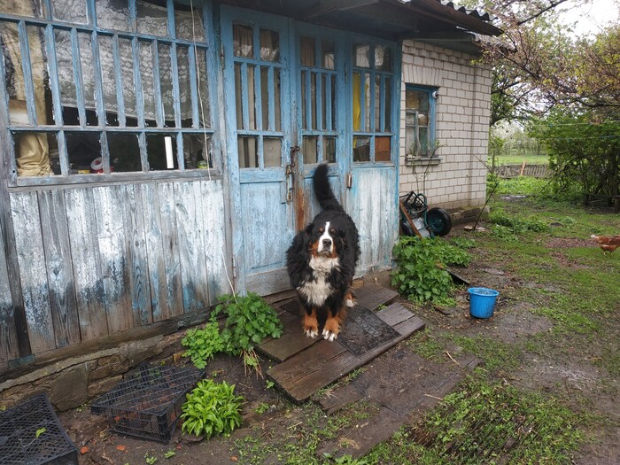 ��-��-���. ���.