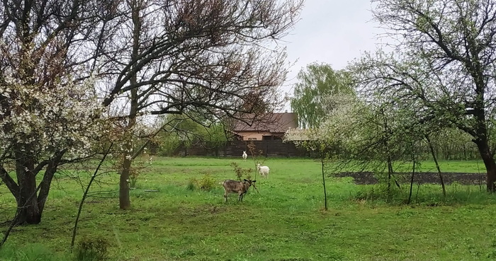 ������ ��� �� ��� �� ����...