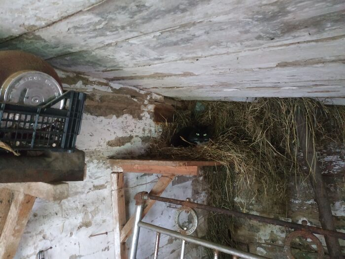 � ���� ��� ����.