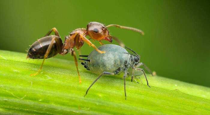 "����?! �� �� ������! ��� � ���� �����������!"