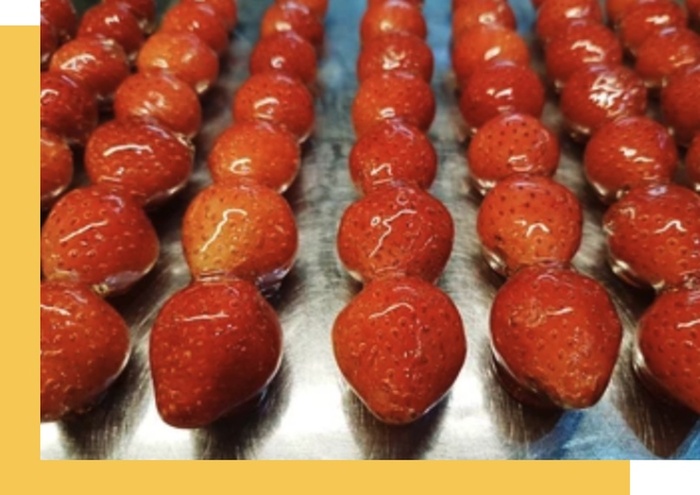 &#x7CD6;&#x846B;&#x82A6; t&#xE1;ngh&#xFA;lu -     