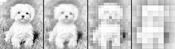 Изображение разбито на разное число датчиков-нейронов для анализа