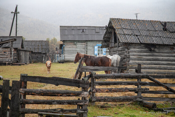Типичное хозяйство
