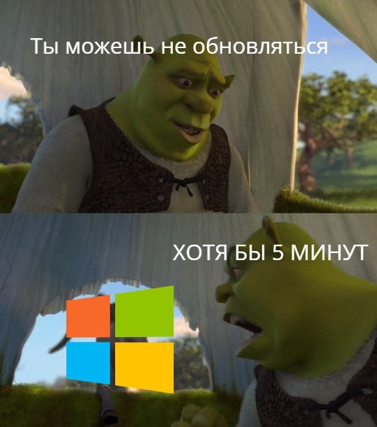    IT,   , , IT , Windows