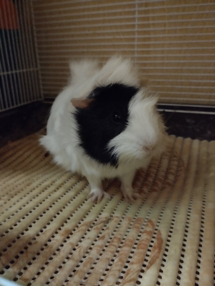 � � ��? � �� �� :D