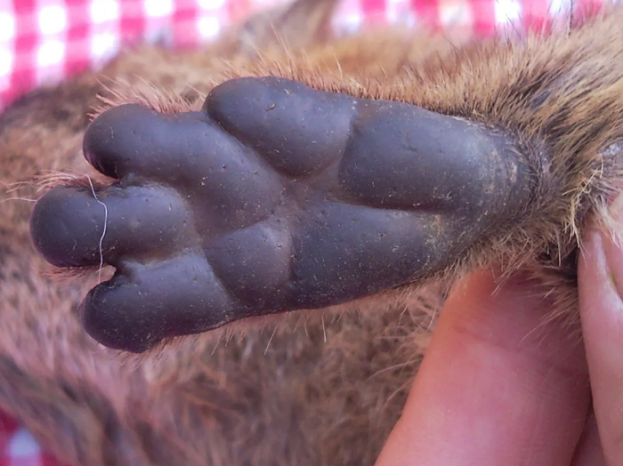 -     ?     ?       ?