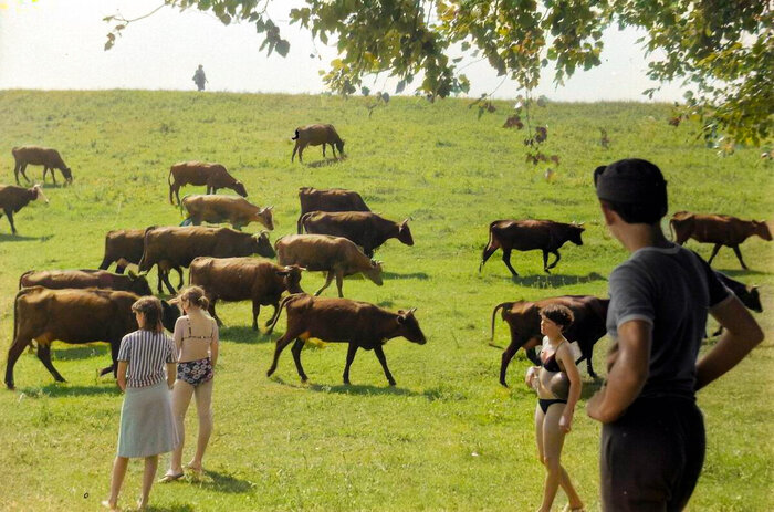 Автор фотографии: пикабушник под ником wowek