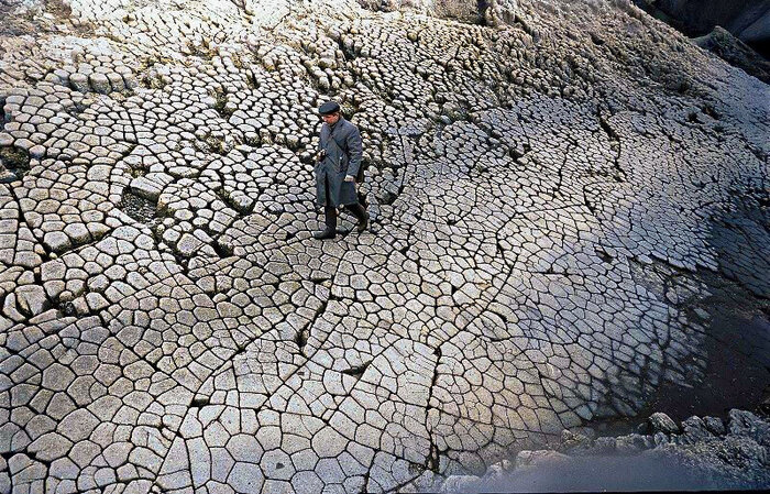 Фотограф: Юрий Садовников