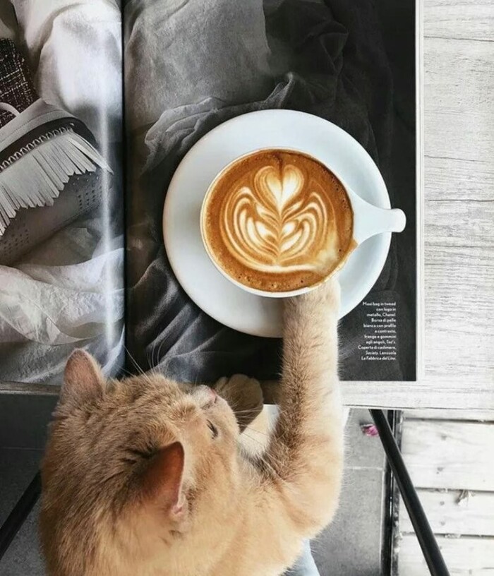   ! , , ,  ,  