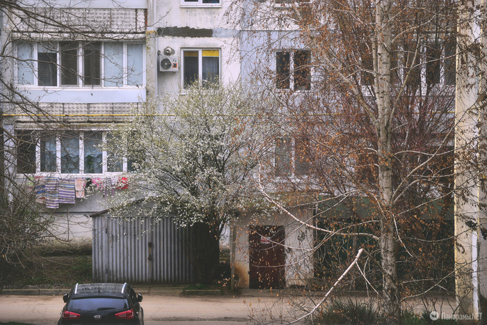 �����, ����