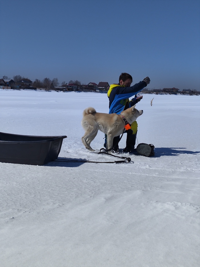 Опа на! А ну-ка показывай, чего там за "зверь"??