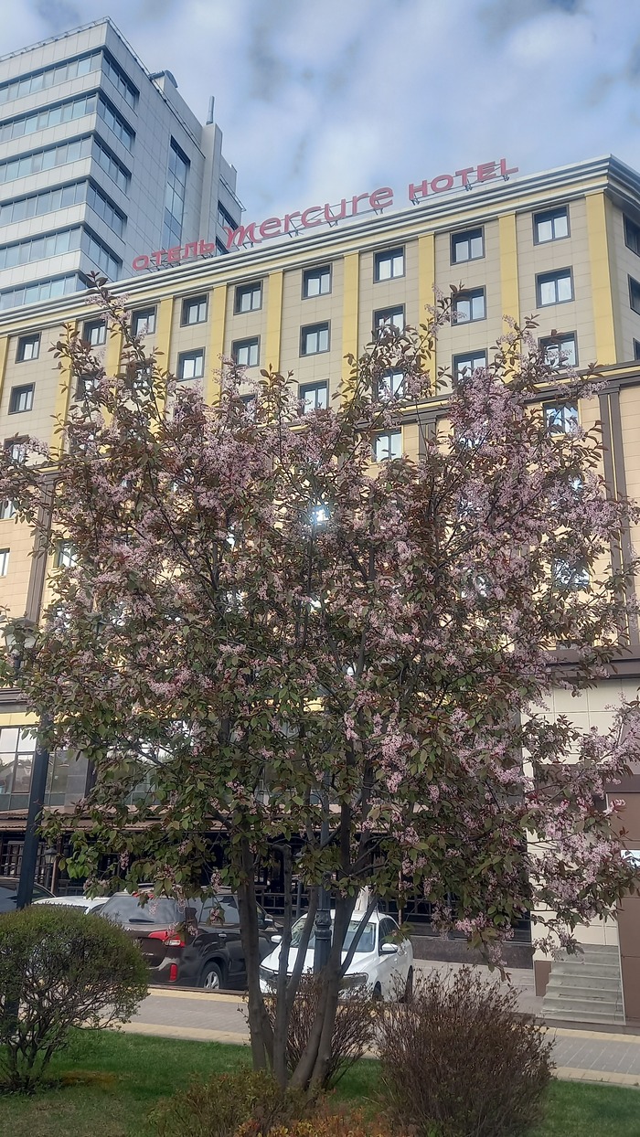 Ответ на пост «Воронежские будни» Мобильная фотография, Город, Парк, Воронеж, Весна, Длиннопост
