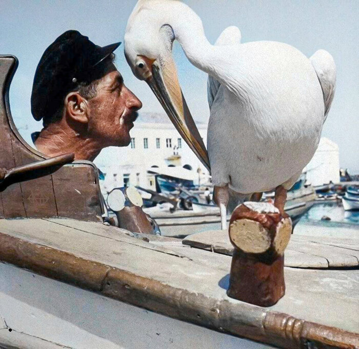 ��������: James Burke