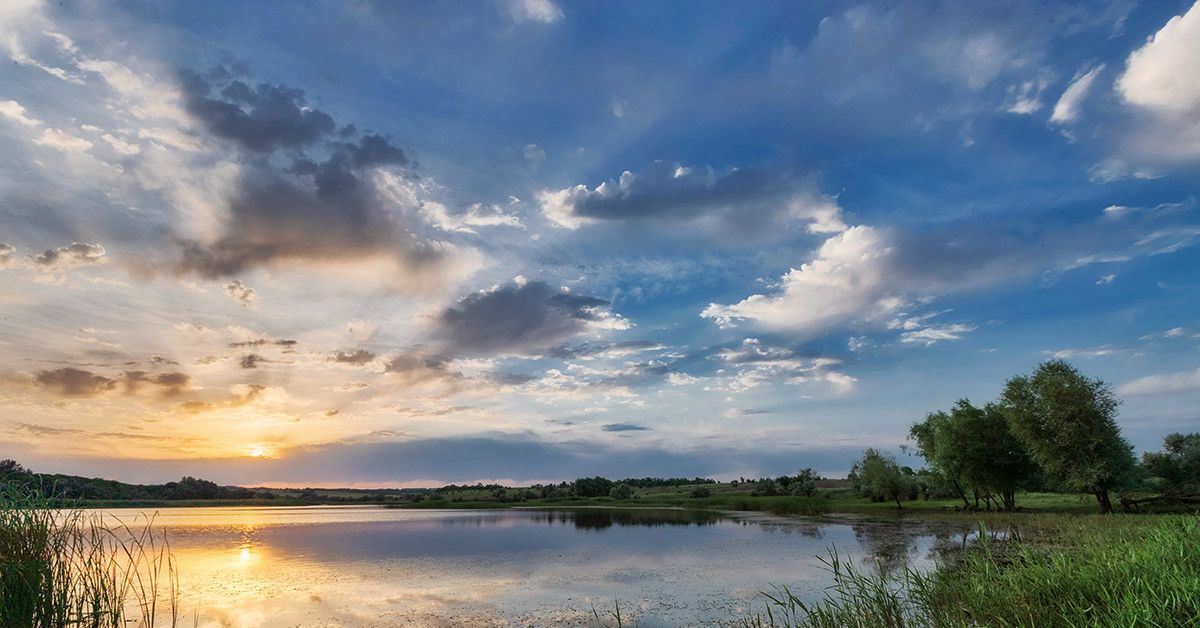 Закат над прудом | Пикабу