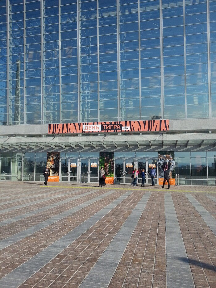 ���������� �����